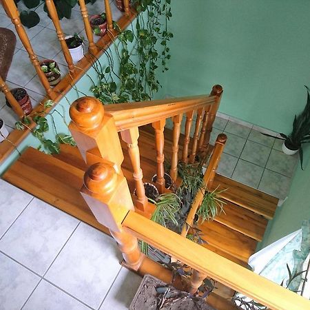Major Csalad Apartman ヘーヴィーズ エクステリア 写真