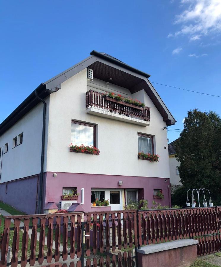 Major Csalad Apartman ヘーヴィーズ エクステリア 写真